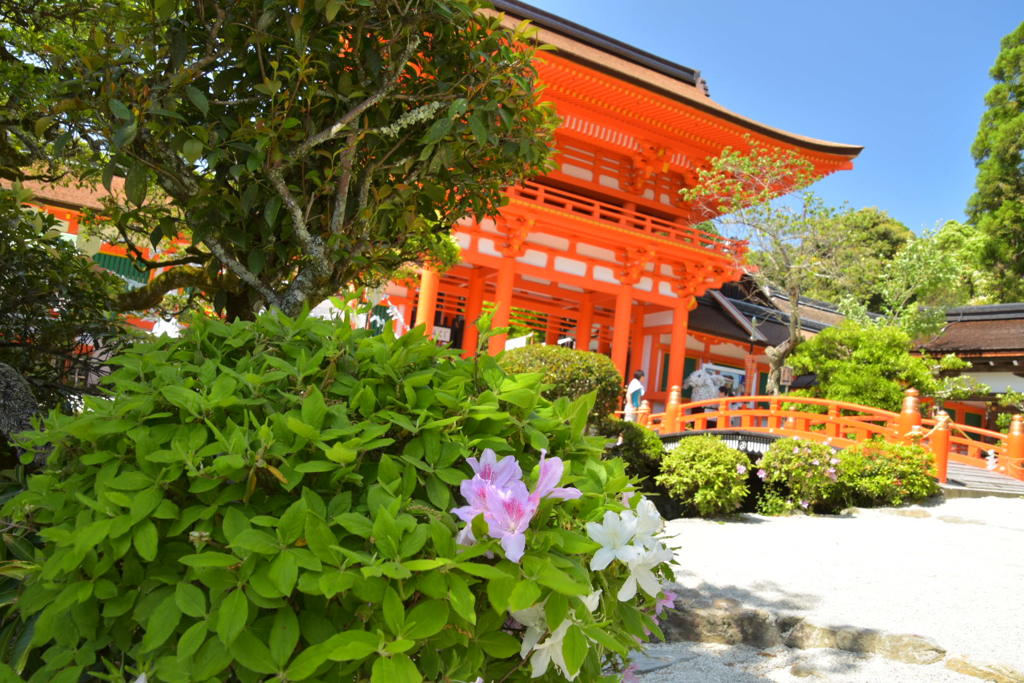 5月の上賀茂神社