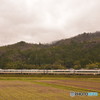 雨の里山