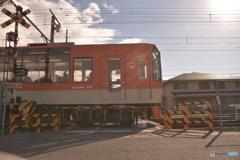 久しぶりの晴天日陰