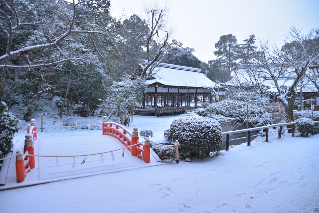 '18/1/25 Snow ④