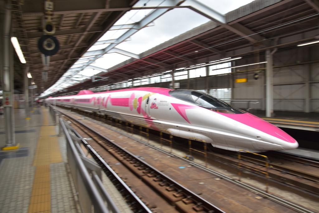 初めまして！