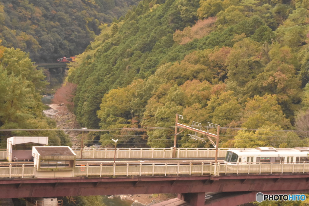 トロッコ列車を探せ