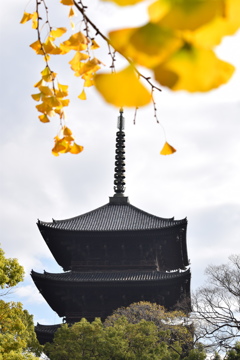 晩秋の寺院