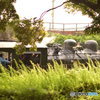 SLスチーム号②