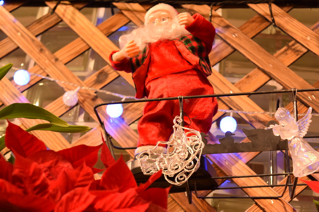 ポインセチアとサンタ