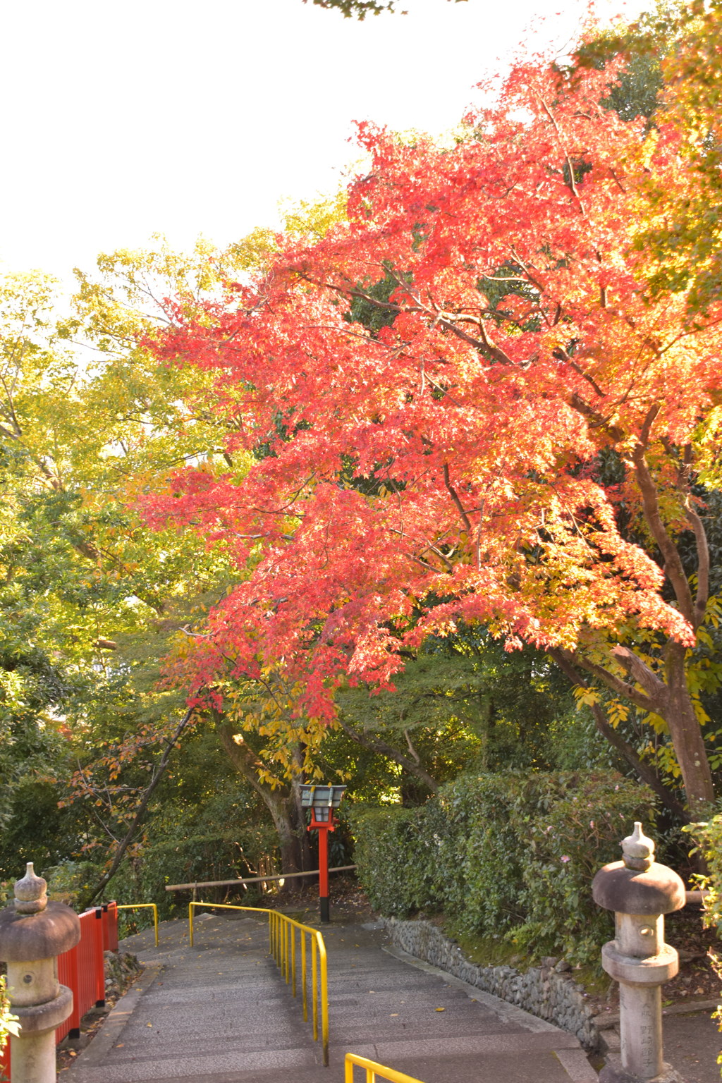 健勲神社