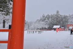 雪景色