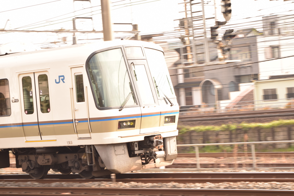 梅小路公園にて