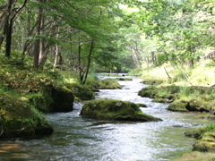 川のうえから