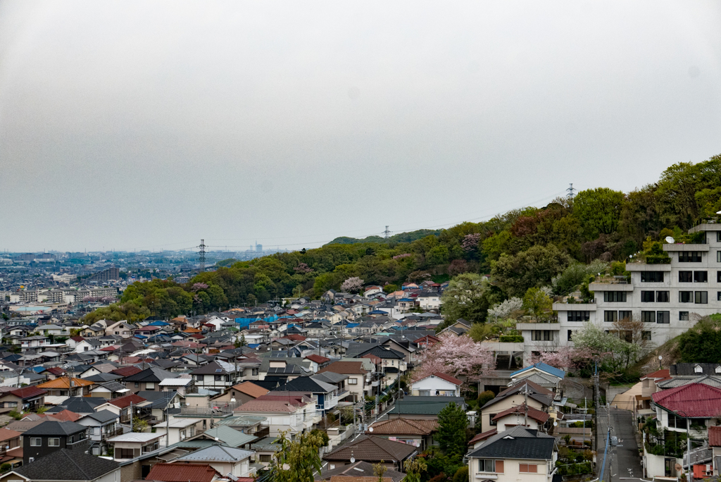 折り合い