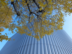 DSCF5863