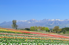 那須フラワーワールド