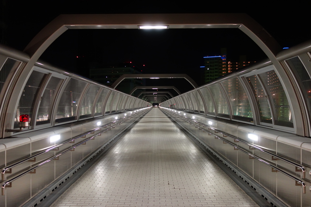 夜の陸橋