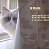 明けましておめでとうございます