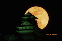 岐阜城とワームムーン