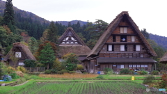 白川郷(合掌村）