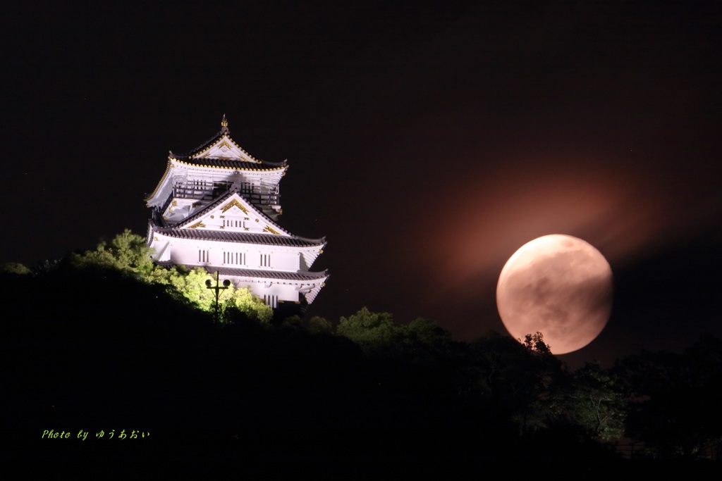 岐阜城満月