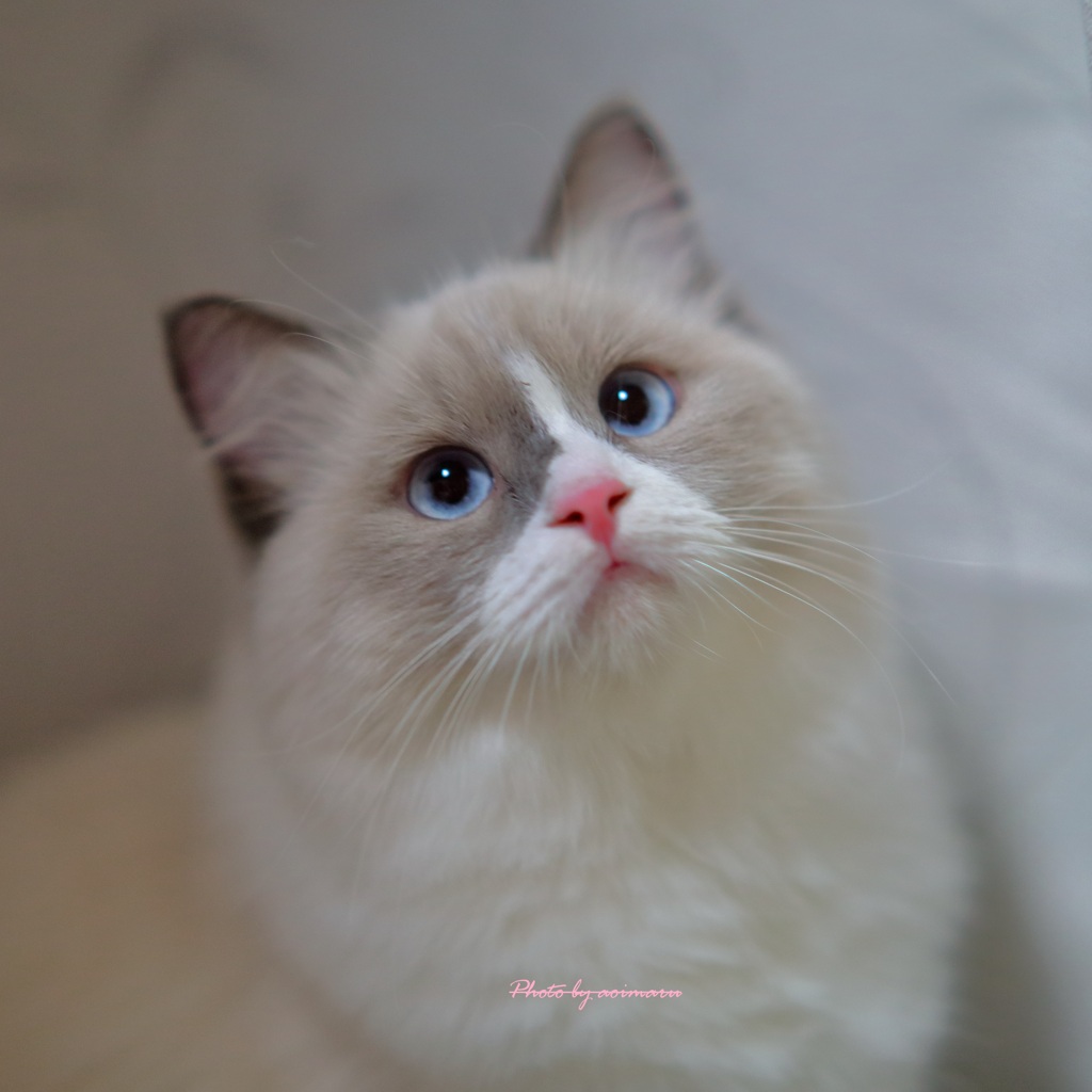 まりん