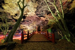 横蔵寺ライトアップⅠ