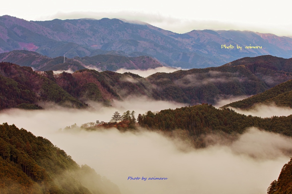 雲海の郡上八幡城
