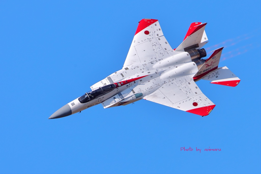 F-15J テスターカラー 岐阜基地