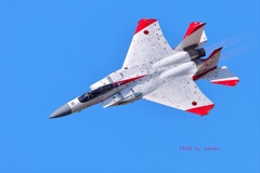 F-15J テスターカラー 岐阜基地