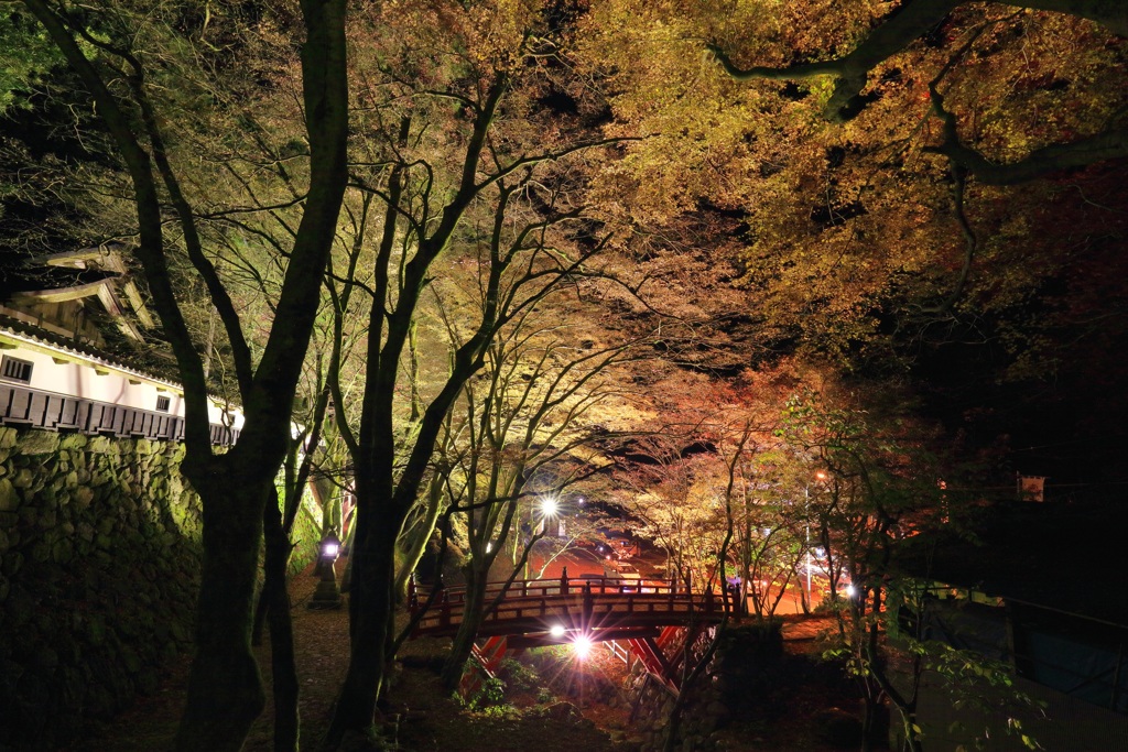 横蔵寺ライトアップⅥ