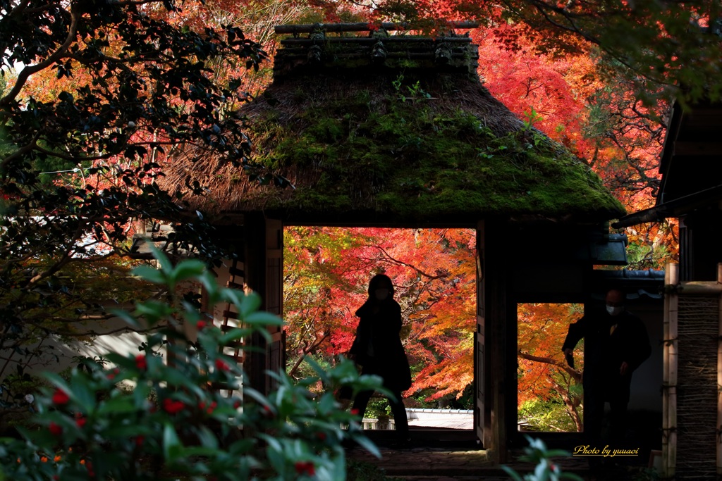 京都●安楽寺の秋