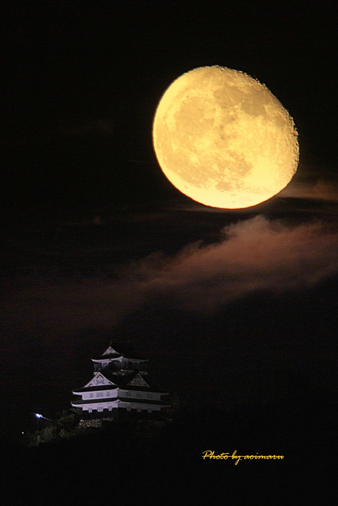 岐阜城に月明かり