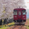 春風に舞う