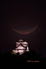 昨夜の岐阜城と三日月