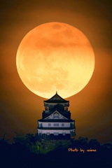 思い出