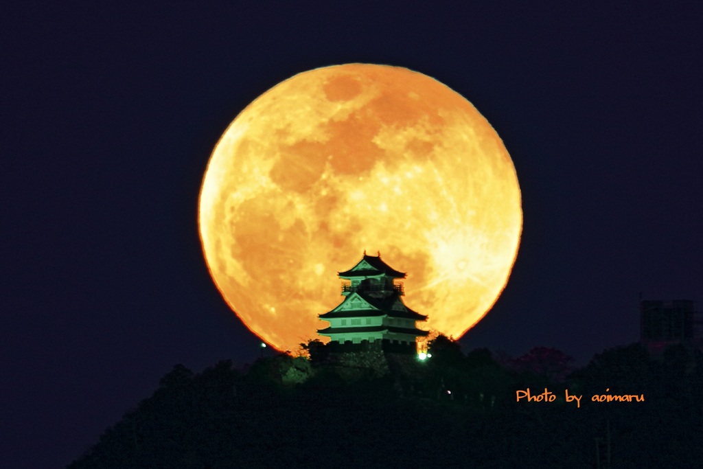 岐阜城と満月