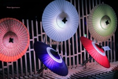 日本伝統の美　和傘