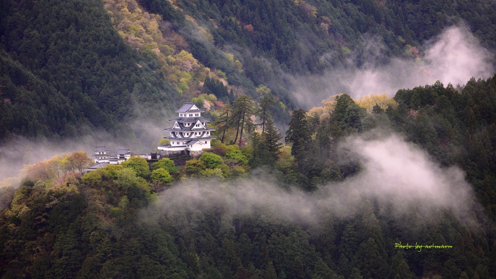新緑の郡上八幡城