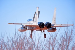 岐阜基地F－１５J