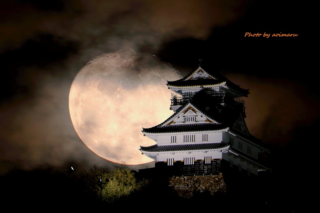 岐阜城と月②