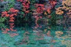 板取川紅葉水鏡