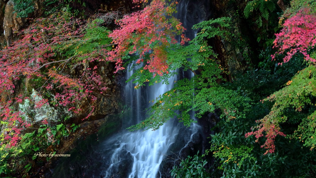 紅葉と滝の競演