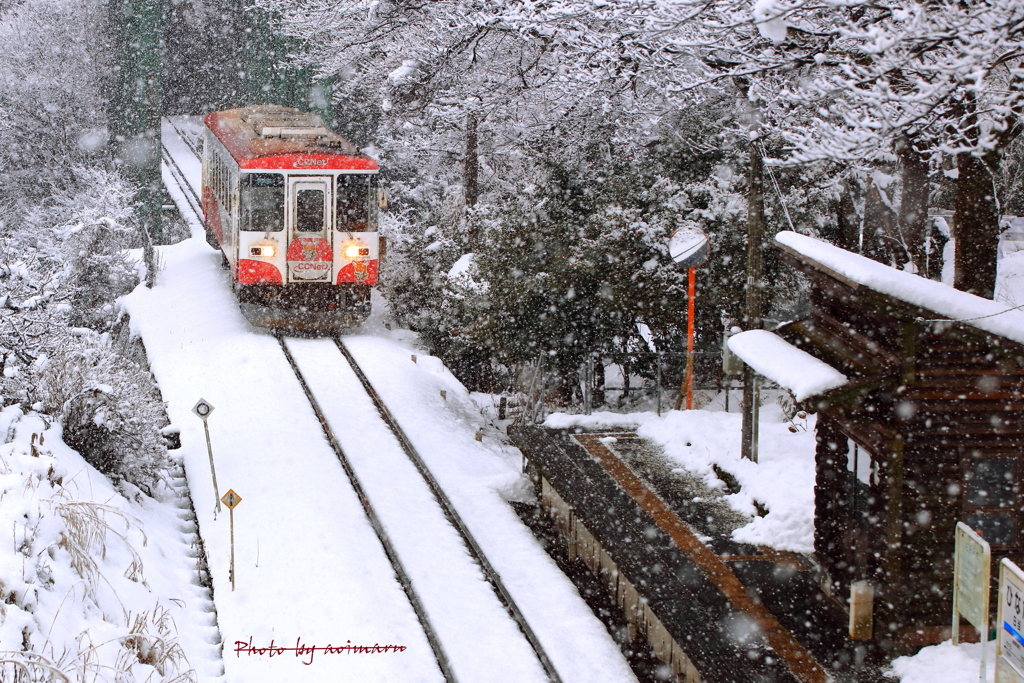 樽見鉄道　冬の旅