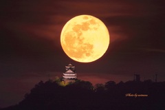 岐阜城と月　ベストショット?