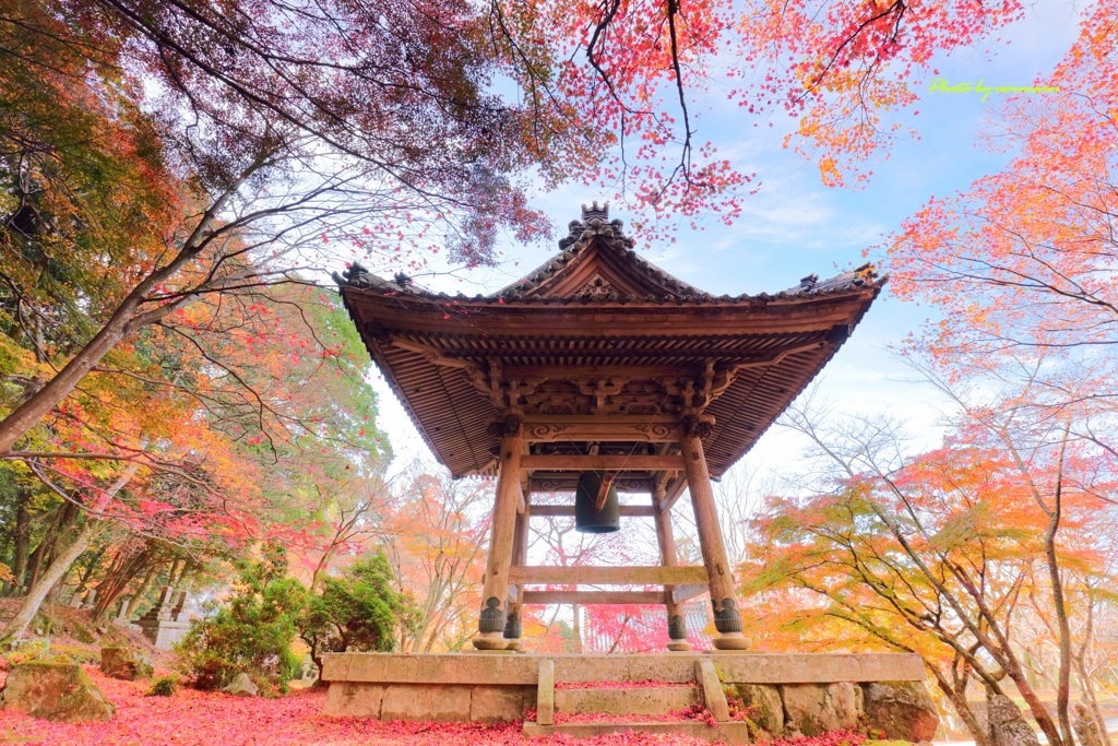 東光寺の秋