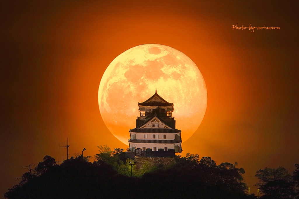 満月の夜には．．．