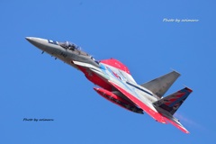 F-15j  飛行開発実験団70年記念塗装機３