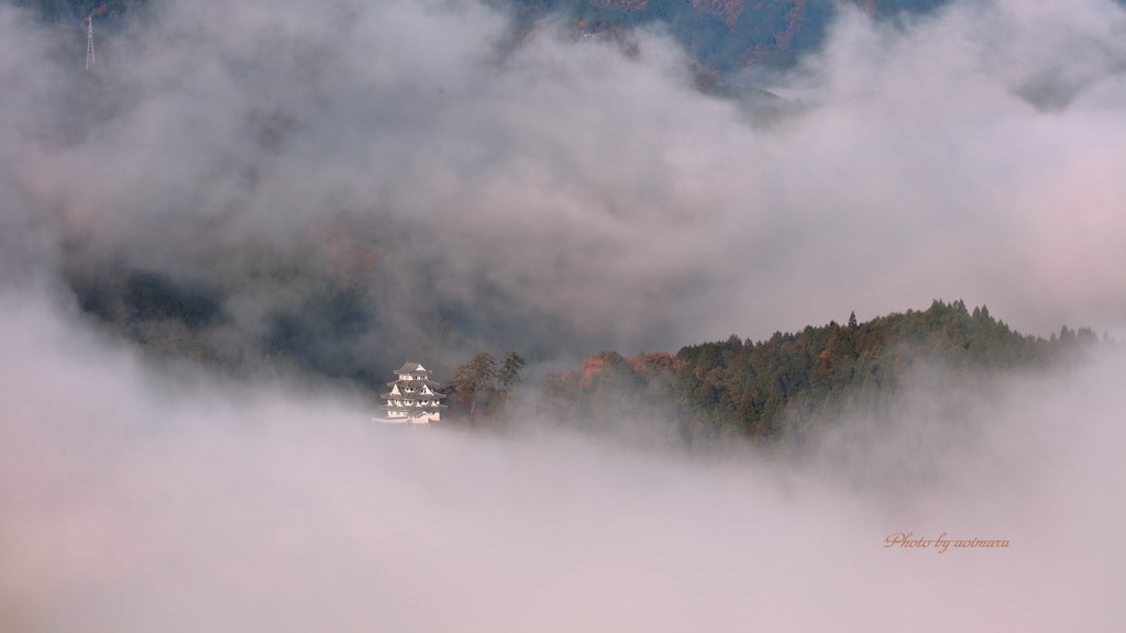 郡上八幡城　雲海の中から②