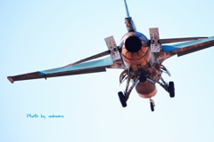 back view F-2