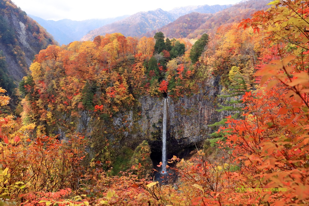 白水の滝秋の彩