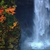 秋•白水の迫力