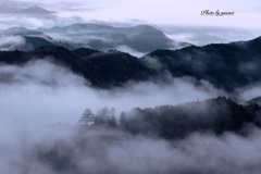 雲上の山城