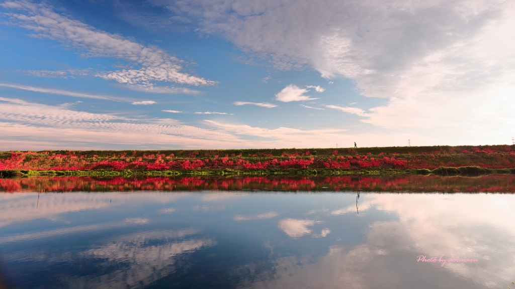 Reflection
